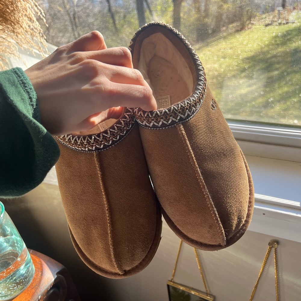 Tazman Uggs